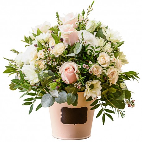 Dawn Flowers